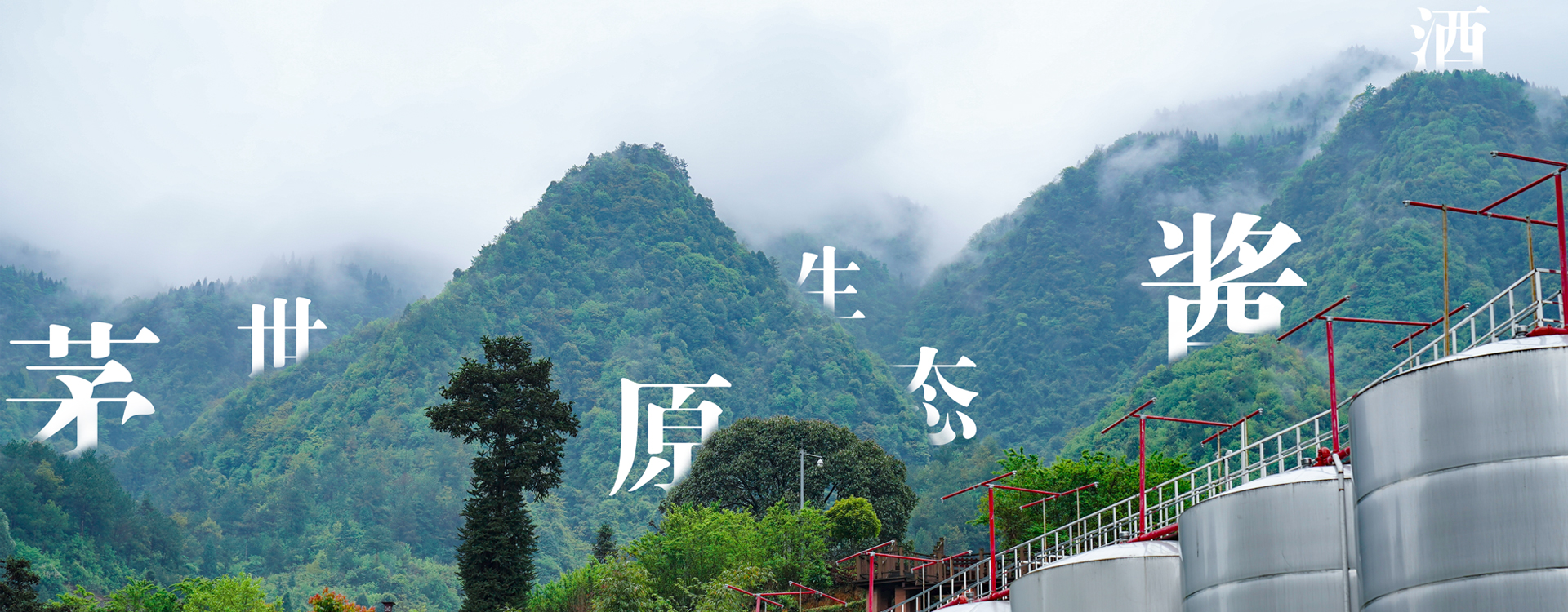 LD乐动体育官方